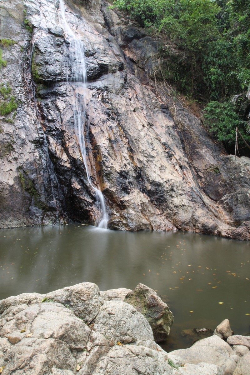 Private 4×4 Jungle Safari (Half Day)